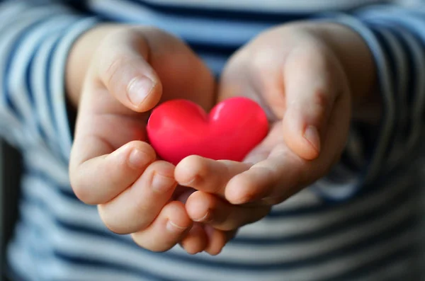 Heart in child 's hands Стоковое Фото