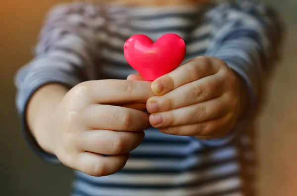 Heart in child 's hands Стоковая Картинка