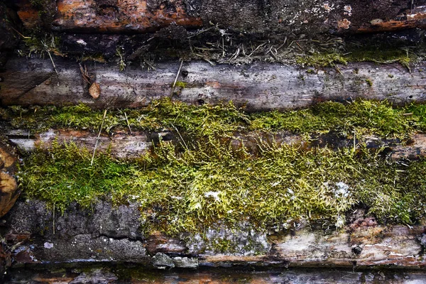 Hintergrund Holz Textur altes Brett. — Stockfoto