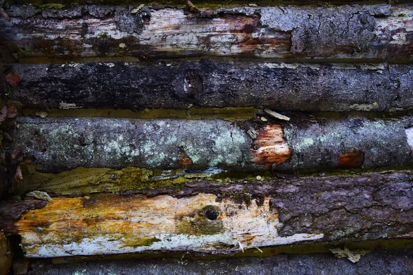 Hintergrund Holz Textur altes Brett. — Stockfoto