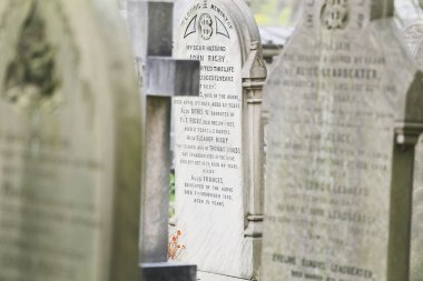 Ünlü Iconic Eleanor Rigby 'nin Liverpool İngiltere' deki mezarı