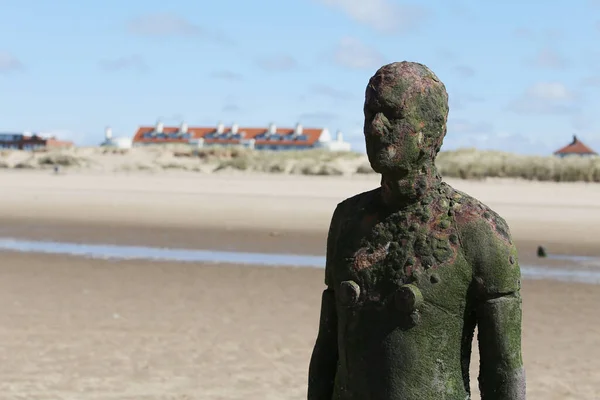 Liverpool 'daki Crosby Plajı, Birleşik Krallık 