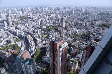 Tokyo siluetinin panoramik hava görüntüsü