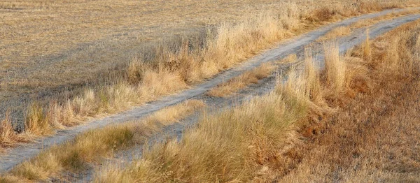 Summer Italian Landscape Wheat Field Ripe Hills Dales Background Panorama — Stock Photo, Image