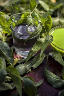 Çok amaçlı Ayurvedic şifalı bitkilerin saç ilacı. Neem ya da Nim ya da cam bir kasedeki Hint leylağı kepek ya da kaşındıran cilt sorunları için taze su ve yapraklarla birlikte. Yatay çekim.