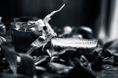 Çok amaçlı Ayurvedic şifalı bitkilerin saç ilacı. Neem ya da Nim ya da cam bir kasedeki Hint leylağı kepek ya da kaşındıran cilt sorunları için taze su ve yapraklarla birlikte. Yatay çekim.