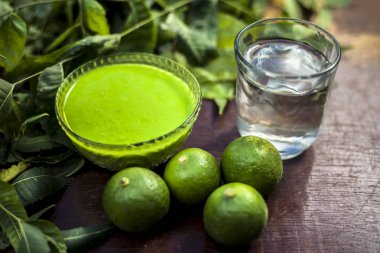 Çok amaçlı Ayurvedic şifalı bitkilerin saç ilacı. Neem ya da Nim ya da cam bir kasedeki Hint leylağı kepek ya da kaşındıran cilt sorunları için taze su ve yapraklarla birlikte. Yatay çekim.