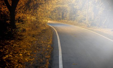 Ormanda güzel bir yol.