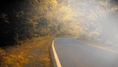 Panoramik çekim, sonbahar düşüşü, güzel sonsuz bir yol ve gölgelikten gelen bir ışık demeti..