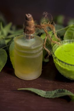 Kafa derisi ile ilgili tüm sorunlar losyon çözeltisi ya da cam bir kâseye biraz neem yaprağı, çam ağacı tohumu ve zeytinyağı içeren şampuan koyuyor. Neem ağacından taze yapraklar, çeçen tohumu, paket ve zeytinyağı.