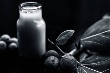 Banyan Ağacı, şeffaf cam bir şişeyle siyah parlak bir yüzey ve olgun ve çiğ banyan ağacının meyveleriyle yakın plan çekilmiş. Yatay çekim.