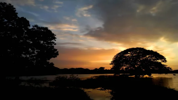 Темний Мрійливий Захід Сонця Через Дерева Барвисте Небо — стокове фото