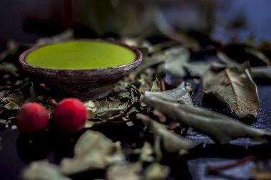 Banyan ağaç macununu siyah ahşap bir yüzey üzerinde kilden bir kaseyle yakın çekim yap. Biraz da çiğ ve olgun meyve ile birlikte. Biraz da kurumuş yaprak tozu. Vajinal enfeksiyonlarda kullanılır..