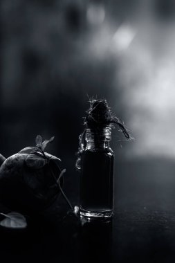  Biraz nane yaprağı ile birlikte pancar kökü ve küçük bir cam şişede özüt yağ. Arka planda bulanıklık olan dikey çekim..