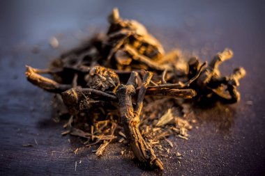 Çiğ ayurvedik bitkiyi yani kahverengi renkli parlak yüzey üzerindeki chitrak / Plumbago zeylanica köklerini tozla birlikte kapat. Yatay çekim.