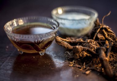 Çiğ ayurvedic bitki chitrak / Plumbago zeylanica kökleri kahverengi renkli parlak yüzey üzerinde biraz tereyağı, ghee veya netleştirilmiş tereyağı, özütü, lor ve bal ile ayurvedic terapide kullanılır..
