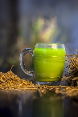 ayurvedic bellek güçlendirici ot shankhimppi veya Convolvulus pluricaulis kökleri ile birlikte siyah tahta bir yüzey üzerindeki özüt bitkisel suyu seçici odaklı ve bulanık arkaplan.