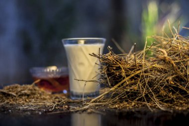 shankhpushpi or Convolvulus pluricaulis roots along with some milk and honey on the wooden surface making a memory booster tonic. Horizontal shot.