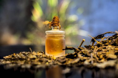 Close up of shankhpushpi roots on the wooden surface along with some of its powder and oil with it. Shot with blurred background. Horizontal shot.