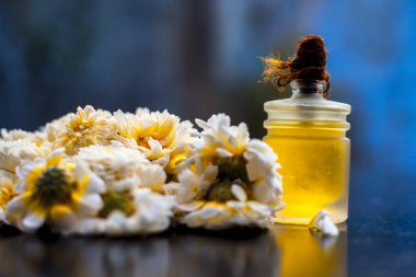 Close up shot of daisy essential oil in a glass bottle along with some fresh daisy or English daisy flowers with it on blackboard with blurred background and rim light on the bottle. clipart