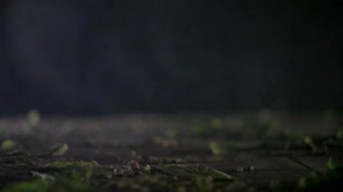 Karanlık bir odanın sinematik görüntüleri. Adam sinsi 