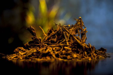 Ayurvedik bitkiler ateş ve siyah ahşap bir yüzey üzerinde öksürük için en iyisidir. Ardusi veya Malabar tozu ile birlikte koyu ve sıcak renklerde fındık.