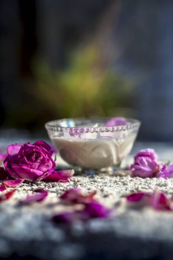 Taze krema ve buğday unundan oluşan bir tahtanın üzerinde cilt beyazlaması için yüz maskesi. Biraz ısı unu ve gül yapraklarıyla bir kase krema. Dikey çekim.