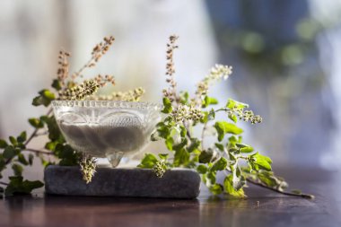 Kahverengi ahşap yüzey üzerindeki ölü deri hücrelerini temizlemek için en iyi ev yapımı DIY yüz maskesi biraz tül ya da fesleğen yaprağı ve lor ile karıştırılmış. Taze fesleğen yaprağı ve kaymak..