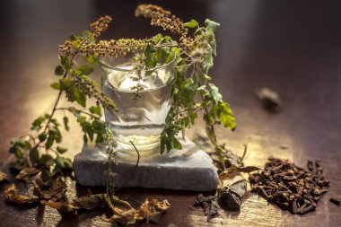 Sivilcesiz bir cilde sahip olmak için en iyi yüz maskesi. Kutsal fesleğen yüz maskesi karanfil, neem yaprakları, fesleğen yaprakları ve yüzeydeki tüm malzemelerden oluşan..