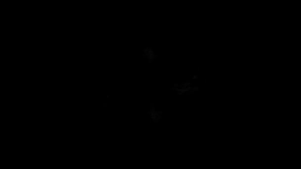 Animation haute résolution Shockwave noir et blanc sur fond noir en 29,97 ips .