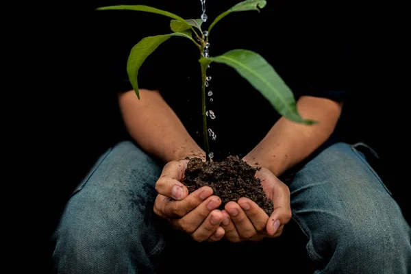 Schot Van Boer Met Een Plant Zijn Hand Zittend Zorgdragend — Stockfoto