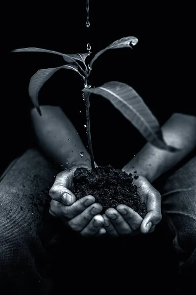 Shot Farmer Plant His Hand Sitting Taking Care Mother Nature — Stock Photo, Image