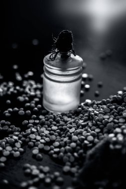 Rafine edilmiş nohut yağını cam bir şişede, parlak, siyah bir ahşap yüzeyde, çiğ sarı mercimek ile kapat..
