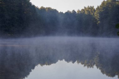 Sabah, sis, gölet, yaz, iyi bir hava