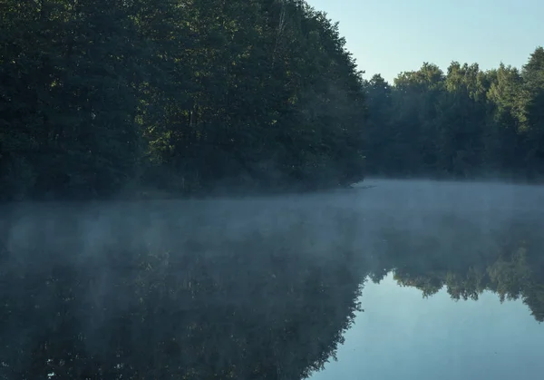아침, 안개, 연못, 여름, 좋은 날씨 — 스톡 사진