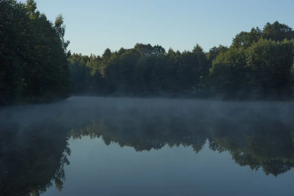 Matin, brouillard, étang, été, beau temps — Photo