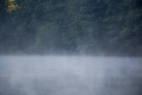 Το πρωί, ομίχλη, λίμνη, καλοκαίρι, ο καιρός είναι καλός — Φωτογραφία Αρχείου
