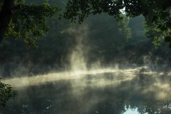 Sabah, sis, gölet, yaz, iyi bir hava