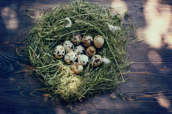Bıldırcın yumurtası, masada, ahşap arka plan yuvadaki yumurta.
