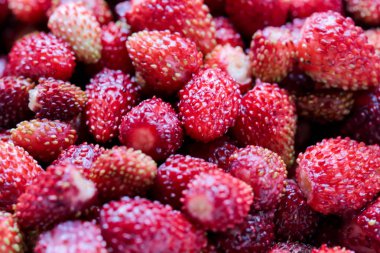 Çilek, çilek, lezzetli, olgun, hasat çilek, hasat, yaz