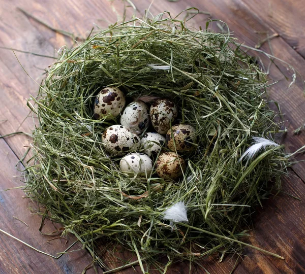 Wachteleier, Eier im Nest auf dem Tisch, Holzgrund. — Stockfoto