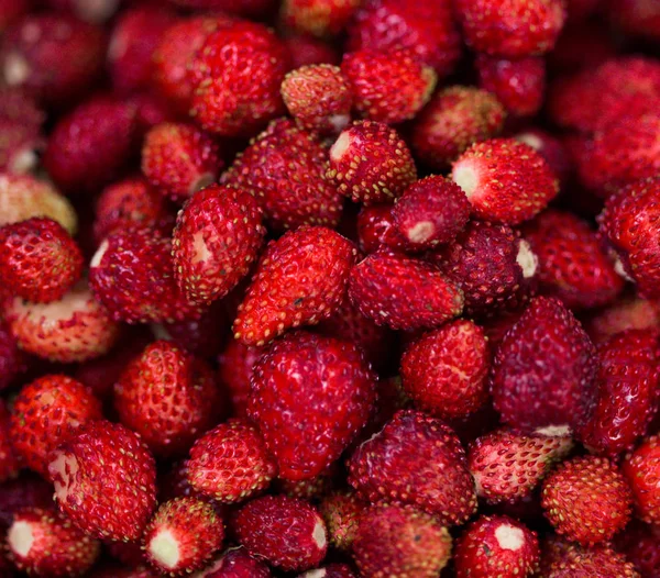 Strawberries, berries, delicious, ripe, harvest strawberries, harvest, summer