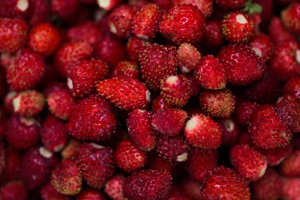 Çilek, çilek, lezzetli, olgun, hasat çilek, hasat, yaz