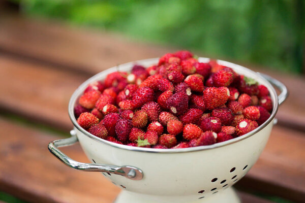 Strawberries, berries, delicious, ripe, harvest strawberries, harvest, summer