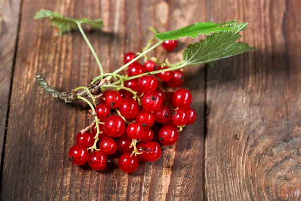 Çilek, çilek, lezzetli, olgun, hasat çilek, hasat, yaz