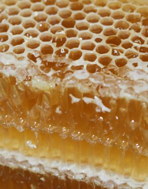 Tatlım, tatlı bal, lezzetli, arıcılık, petek, doğal ürünler