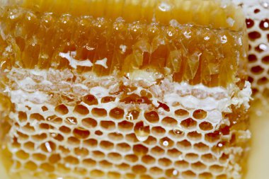 Tatlım, tatlı bal, lezzetli, arıcılık, petek, doğal ürünler