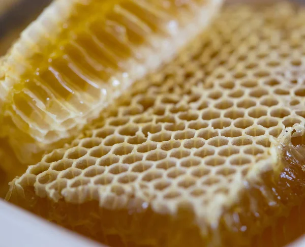 Tatlım, tatlı bal, lezzetli, arıcılık, petek, doğal ürünler