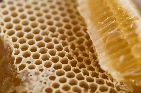 Honung, söt honung, läckra, biodling, honeycomb, naturliga produkter — Stockfoto
