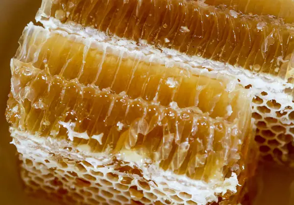 Mel, mel doce, delicioso, apicultura, favo de mel, produtos naturais — Fotografia de Stock